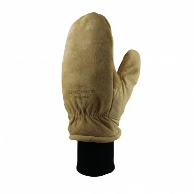ski mitt