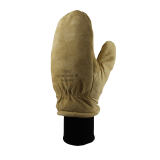 ski mitt