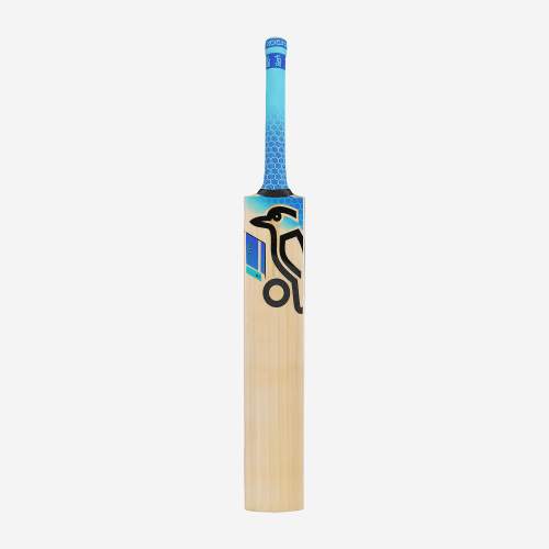 2025 Rapid 9.1 Junior Cricket Bat