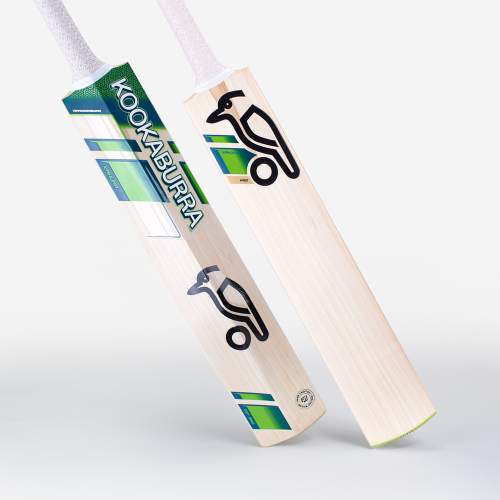 Best cricket bat 2022: Wood bats from top sports gear brands