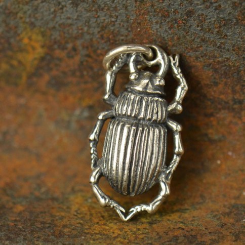 Rising popular Beetle Charm