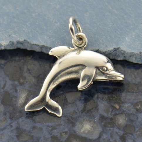 Silver on sale dolphin charm