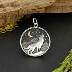 2pcs Stainless Steel Witch Charm, Witch Pendant, Girl Charm, Moon Phase  Celestial Charms, Witchy Charms, Laser Cut Jewelry Supplies STL-3357