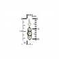 Sterling Silver Three Peas in a Pod Charm 20x5mm