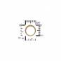 24K Gold Plated Open Circle Stud Earring 10x10mm