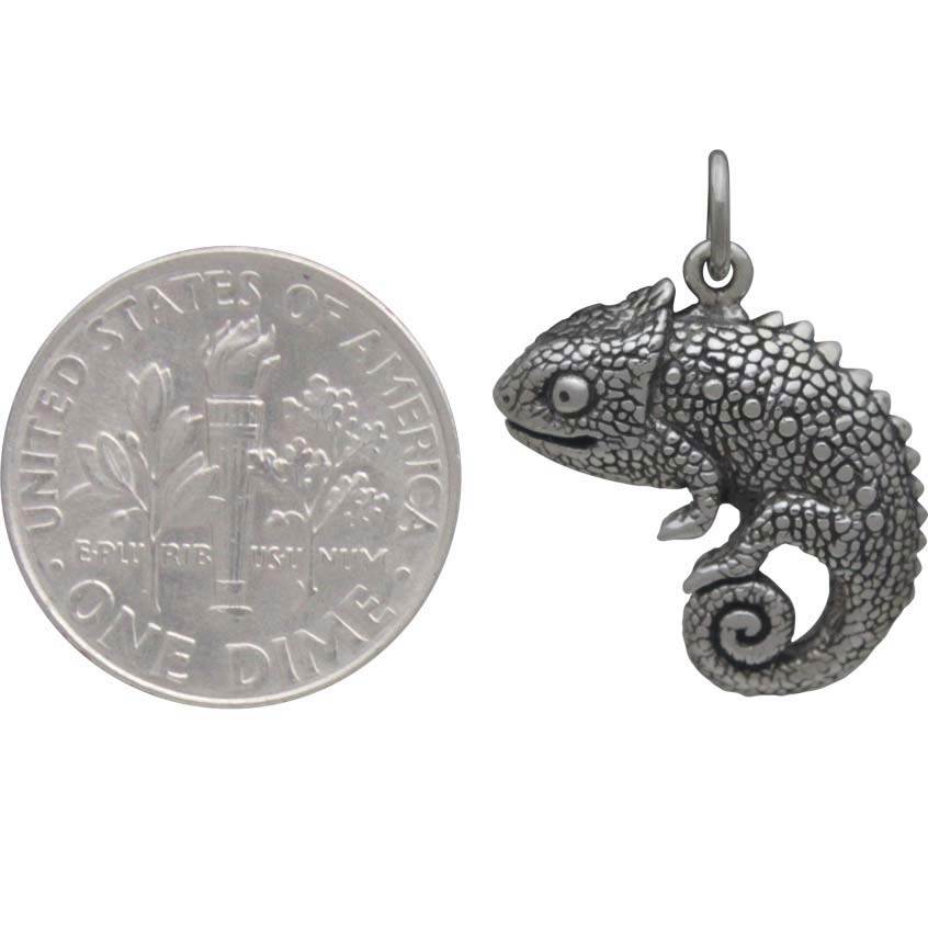 WZNB 5Pcs 43x41mm Dragon Charms for Jewelry Making Alloy Chameleon
