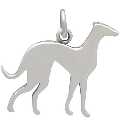 Silver greyhound hot sale dog