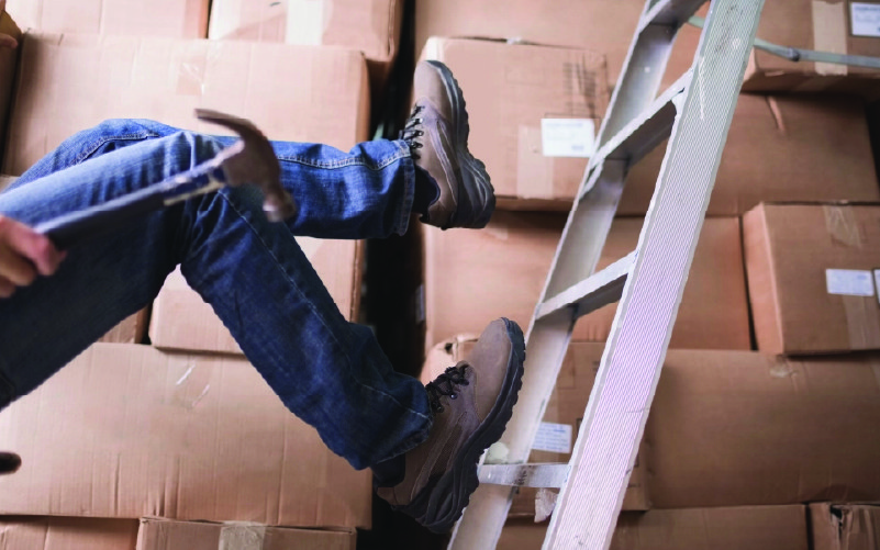The Evolution of Safety: Instinct vs. Institution